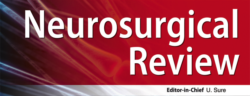 neurosurgicalreview